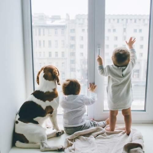 Descubre por qué la demanda de carpintería de PVC ha aumentado en Elche. En KLIVENPLUS ofrecemos ventanas y puertas duraderas, eficientes y personalizables. ¡Transforma tu hogar con calidad y estilo hoy mismo!